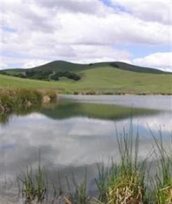 Lynch Canyon Open Space